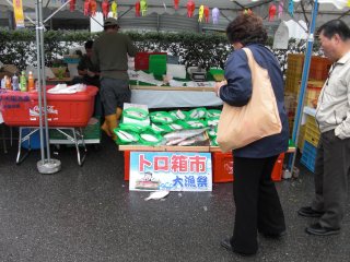 イキが良すぎてカレイが一匹跳ねてしまいました。 カレイが一匹跳ねてしまいました。