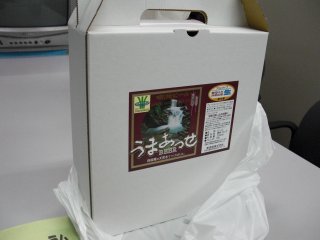四條畷の水で作った地ビールを買いました。 四條畷の水で作った地ビールを買いました。